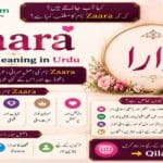 Zaara name meaning in Urdu | Muslim Girl Name Zaara Name Meaning in Urdu Muslim Girl Name with Islamic Details