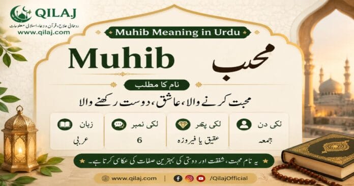 Muhib Meaning in Urdu | محب Name Meaning Muhib Meaning in Urdu, محب نام کا مطلب اور اسلامی نام کی معلومات