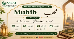 Muhib Name Meaning in Urdu – محب Ka Matlab, Quran aur Islami Hukm
