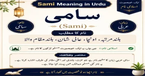 Sami Name Meaning in Urdu – سامی Ka Matlab, Arabic Lafz aur Islami Hukm