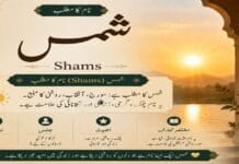 Sami Meaning in Urdu | سامی Name Meaning Shams Name Meaning in Urdu | شمس نام کا مطلب