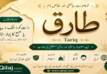 Tariq Meaning in Urdu | طارق Name Meaning Tariq name meaning in Urdu | طارق نام کا مطلب اور اسلامی نام