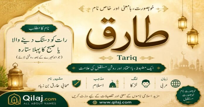 tariq-name-meaning-in-urdu-muslim-boy-name.webp Tariq name meaning in Urdu | طارق نام کا مطلب اور اسلامی نام