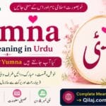 Yumna name meaning in Urdu | Muslim Girl Name Yumna Name Meaning in Urdu Muslim Girl Name with Islamic Details