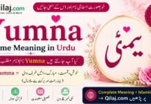 Yumna name meaning in Urdu | Muslim Girl Name Yumna Name Meaning in Urdu Muslim Girl Name with Islamic Details