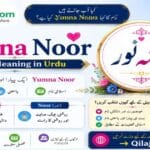 Yumna Noor name meaning in Urdu | Muslim Girl Name Yumna Noor Name Meaning in Urdu Muslim Girl Name with Islamic Details