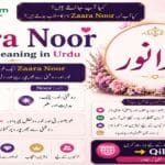 Zaara Noor Name Meaning in Urdu Muslim Girl Name with Islamic Details