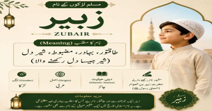 Zubair Name Meaning in Urdu | زبیر نام کا مطلب Zubair Name Meaning in Urdu | زبیر Muslim Boy Name Meaning