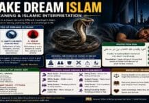 Snake Dream Islam: Meaning and Islamic Dream Interpretation by Ibn Sirin Snake Dream Meaning in Islam - Islamic Dream Interpretation