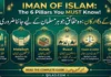What is the Iman of Islam?The 6 Articles of Faith Explained What is the Iman of Islam - Six Articles of Faith