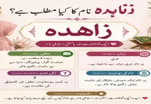 Zahida name meaning in Urdu | Muslim Girl Name