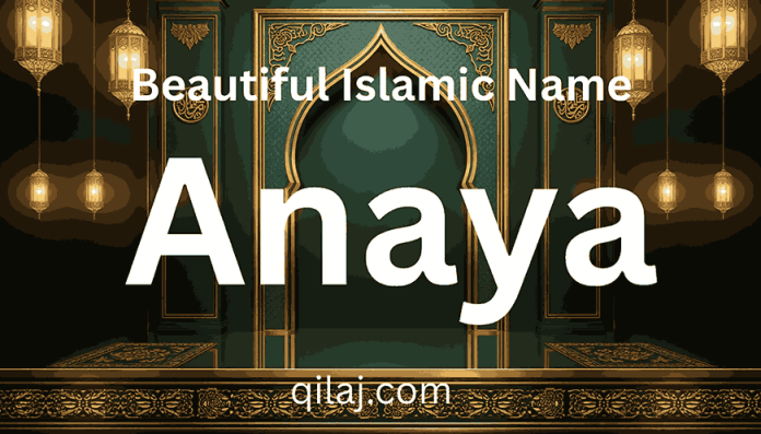 Amina Noor Name Meaning in Urdu