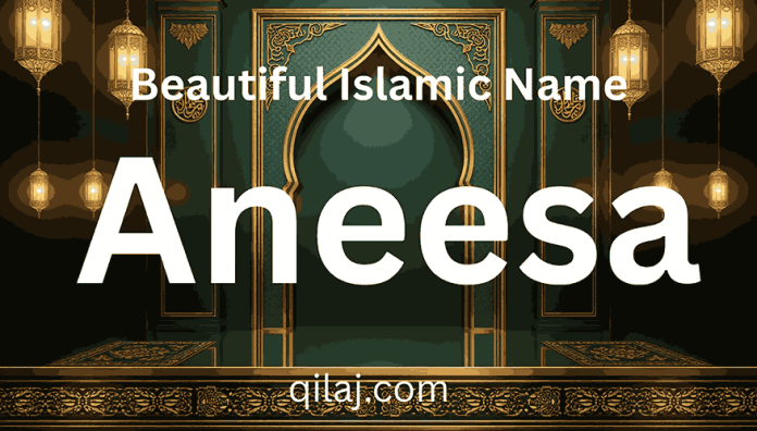 Amira Name Meaning in Urdu Amira Name Meaning in Urdu