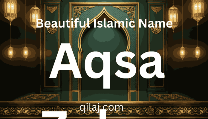 Anisa Zahra Name Meaning in Urdu